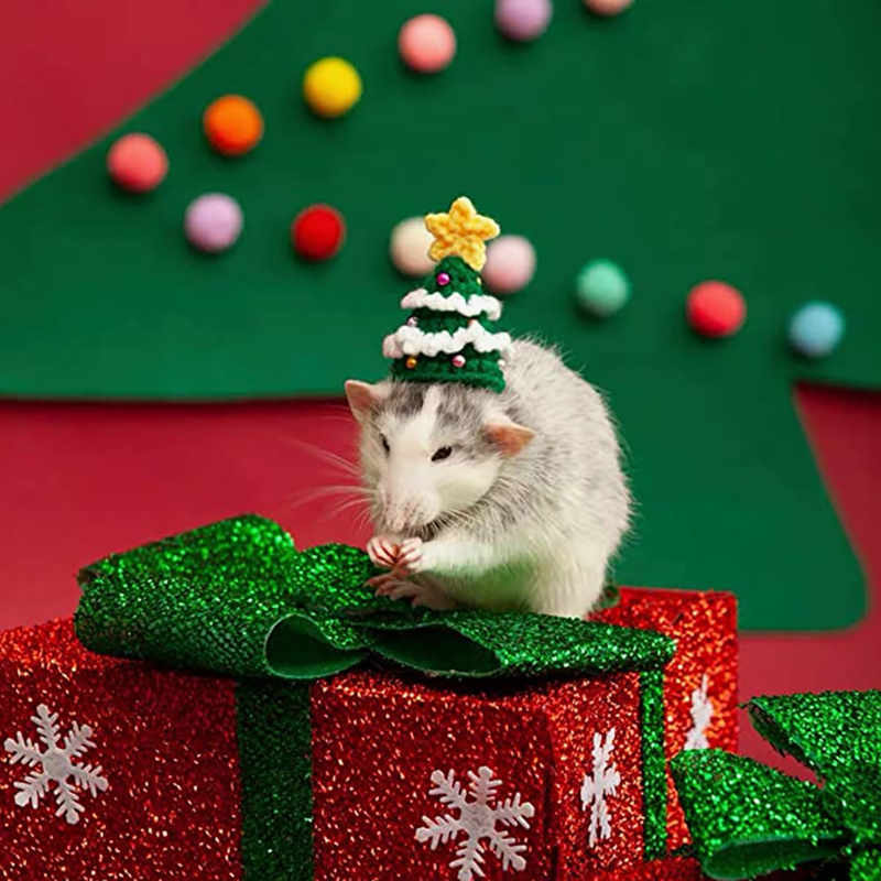 Hand Woven Pet Christmas Hat D – Santa Hat Plush recenzja i cena