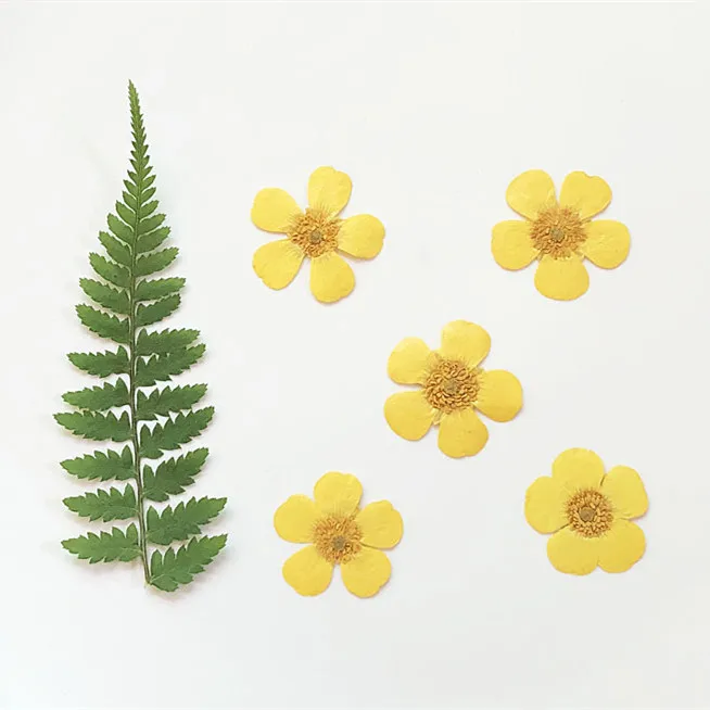 1.5-2cm/24pcs,Nature Real butt – Holiday Candle Set recenzja i cena