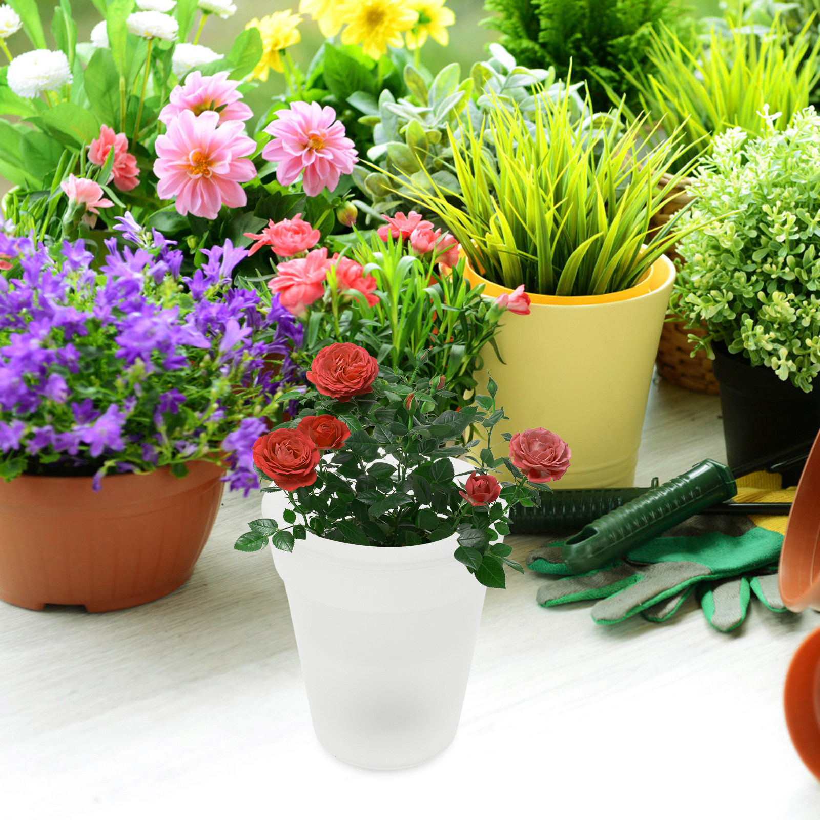 Flowerpot Solar Light Outdoor  – Christmas Lights Outdoor recenzja i cena